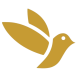 cropped-favicon-sparrow-Photoroom.png
